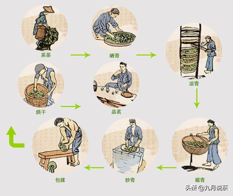 5分钟读懂白茶,5分钟看懂茶文化