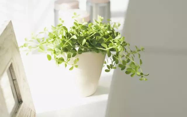 语文文学常识大全最全,语文文学常识总汇大全