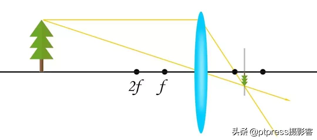 摄影中的手动对焦终极指南,零基础小白必学摄影对焦
