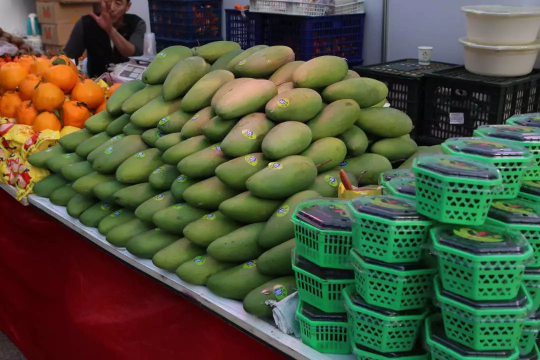 玩转第十八届长春农博会,2019长春冬季农博会票价