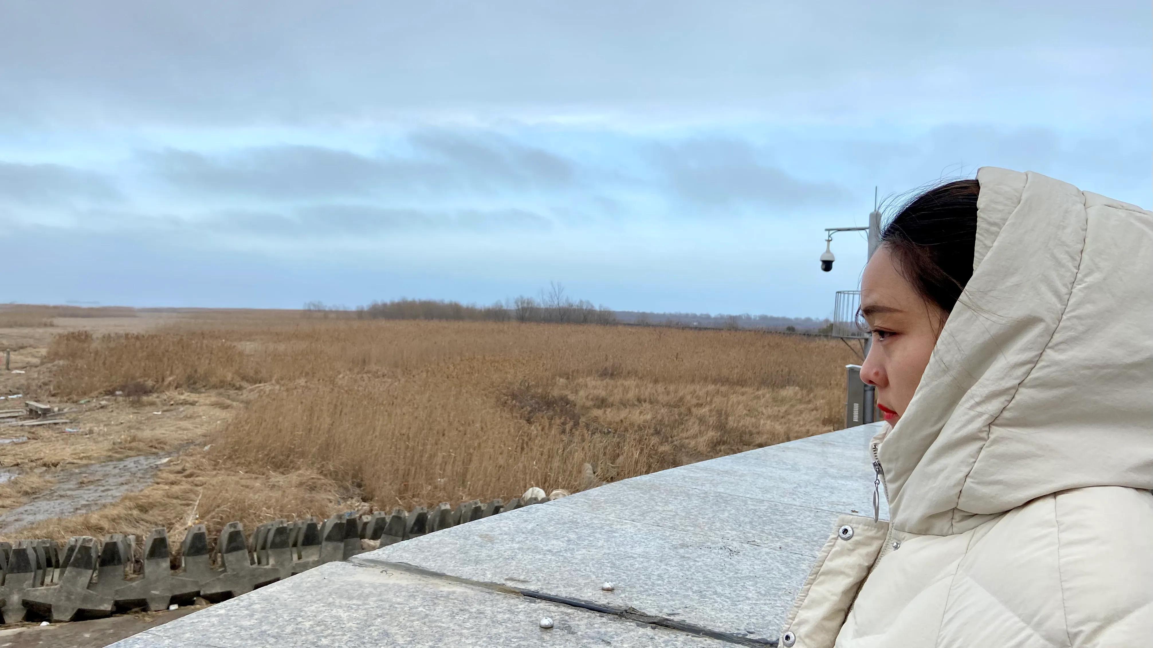 上海哪个地方能看到真正的大海,上海最近景色最好的大海