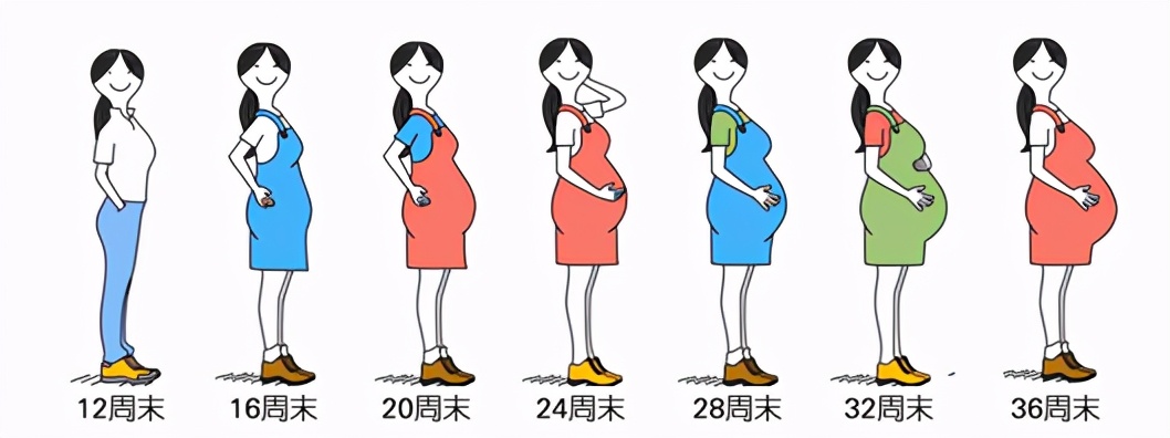 怀孕每天被饿醒,怀孕初期几周每天早上被饿醒