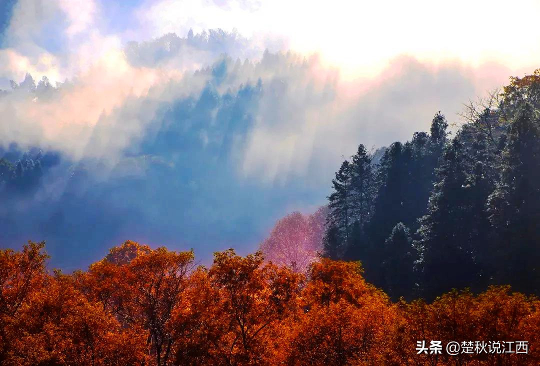 江西鹰潭属于赣北吗,江西鹰潭属于上饶吗