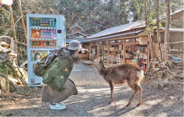 王思聪李易峰综艺节目,王思聪李易峰玩游戏
