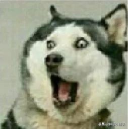 lamer哪款好用,lamer好用吗