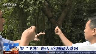 无人机牵线跨越深港走私货物,无人机深港边境