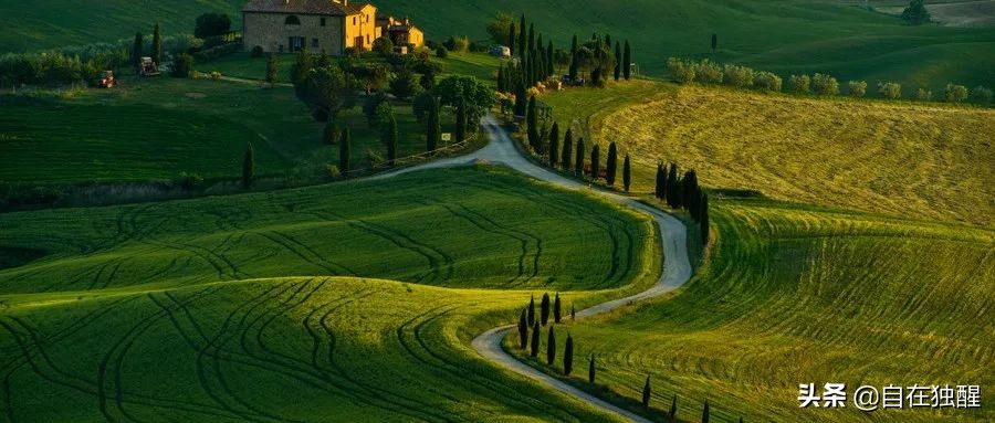 葡萄酒的行话,喝葡萄酒前注意什么