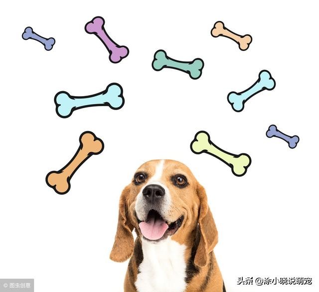 狮子老了就一定被赶出吗,狮子为什么老的时候会被饿死