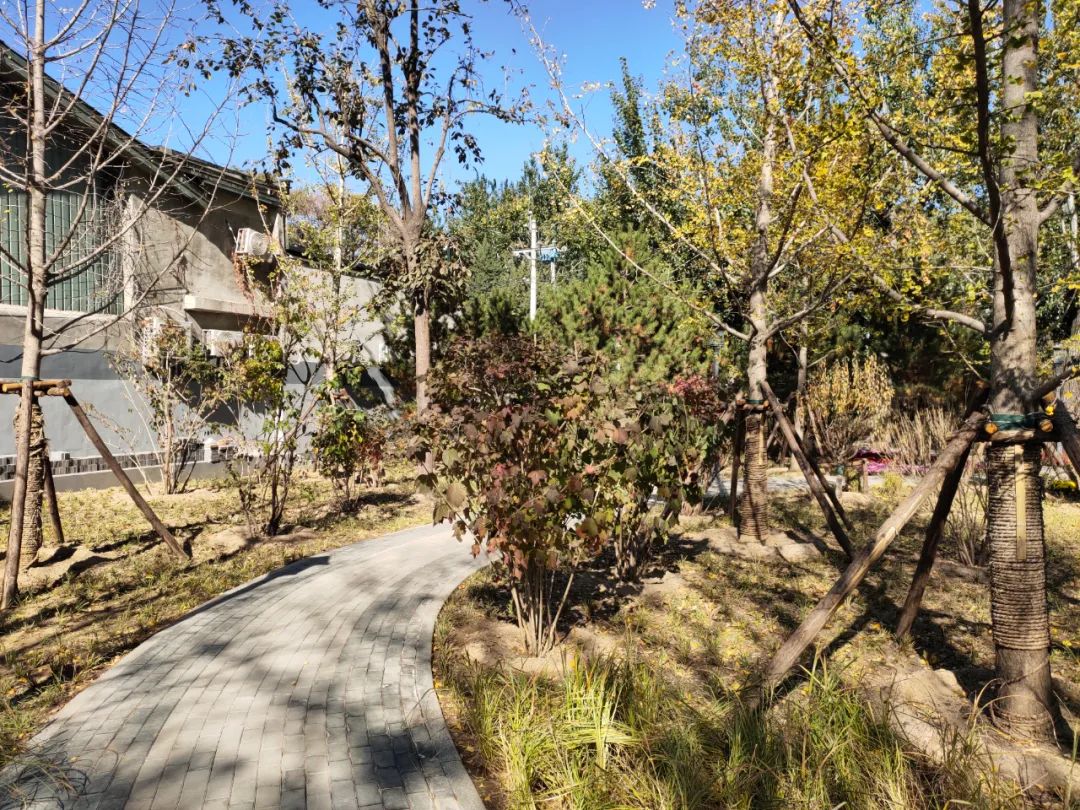 天坛附近公园有哪些,天坛公园周边有什么可逛的