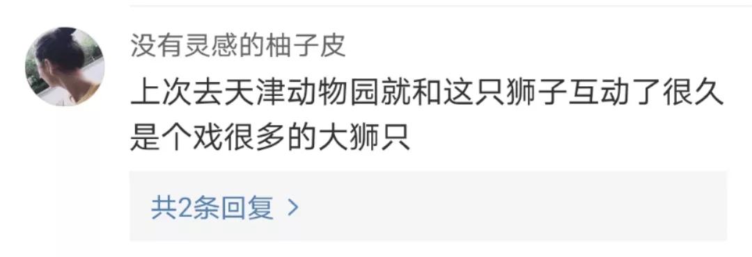 黄鼠狼在超市偷东西,黄鼠狼超市偷火腿肠