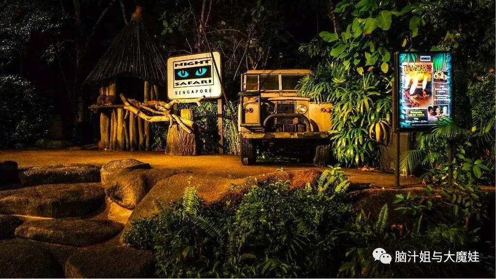 新加坡马来西亚泰国旅游攻略,新加坡马来西亚四日游攻略