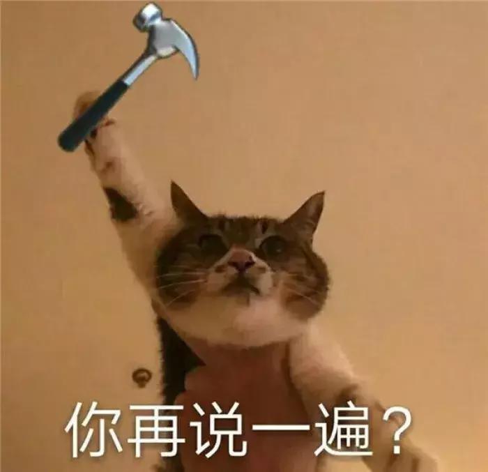 养了九年的猫突然对我有攻击性,养了两年的猫对我特别防备