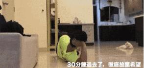 猫和主子玩装死游戏,在猫面前装死猫的反应