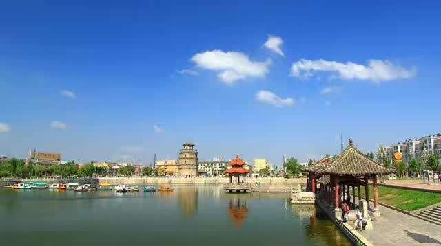 奇怪的古塔燕子----“严冬不南迁，有足不成行”