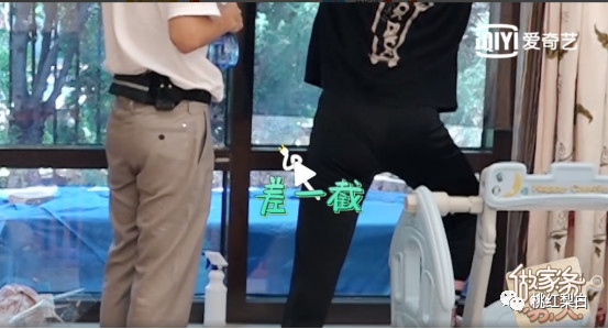 被老公宠上天的张歆艺,张歆艺婚后的生活