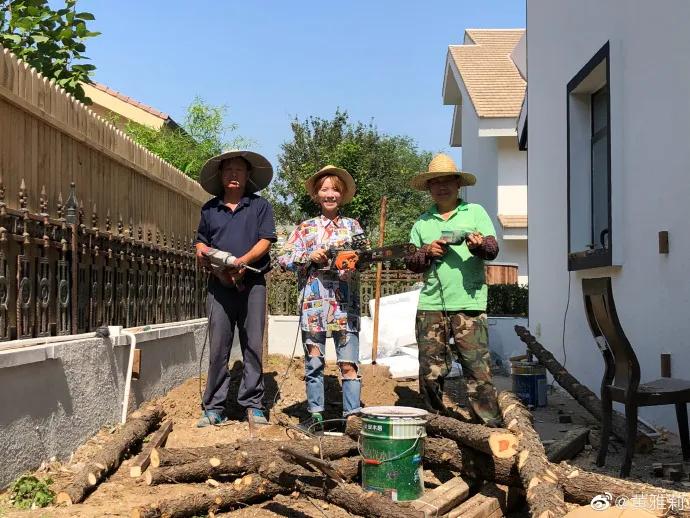 我们为什么羡慕黄雅莉的生活,黄雅莉豪宅在哪里