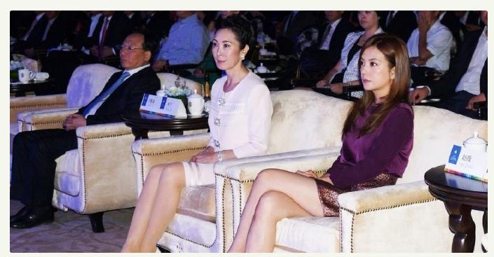 王思聪背后的故事,王思聪妈妈林宁和林更新什么关系