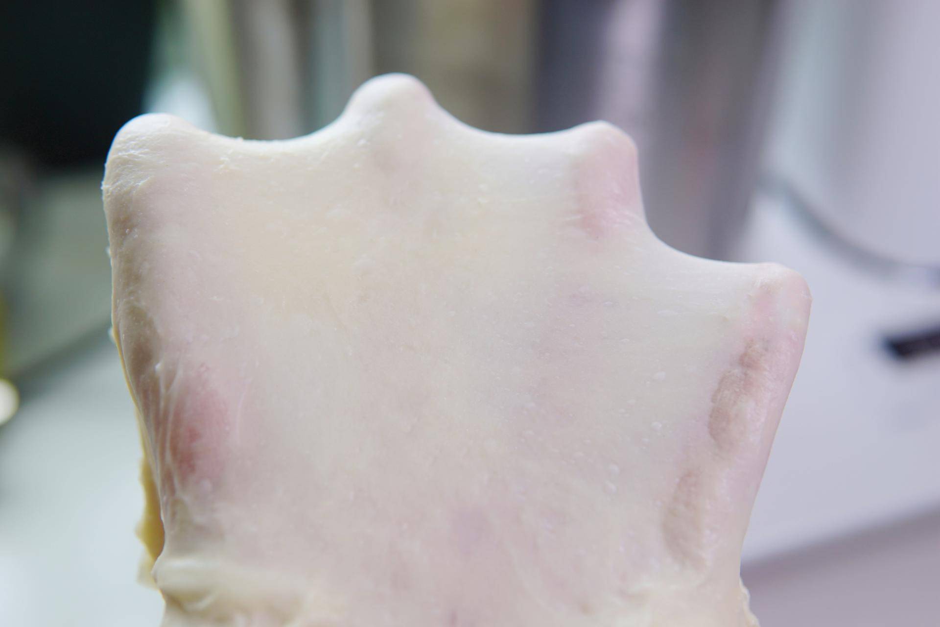 烘焙用的和面机建议买哪种,烘焙店用什么和面机