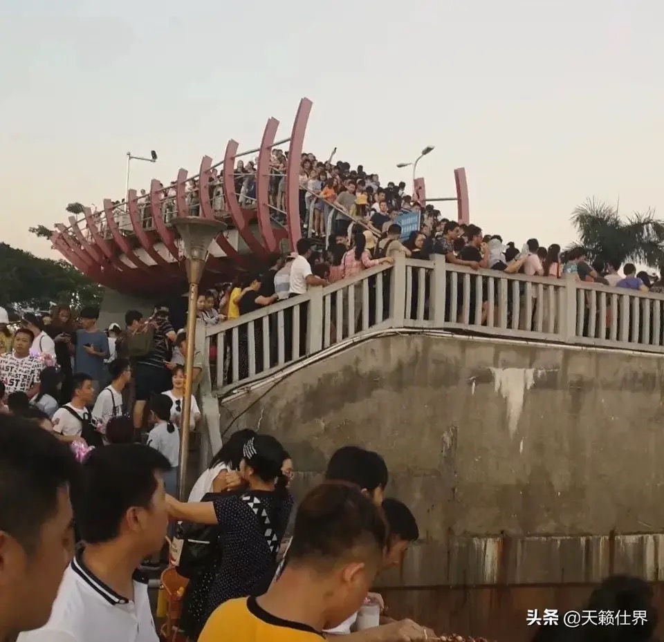 园博苑旅游攻略,厦门园博苑旅游攻略