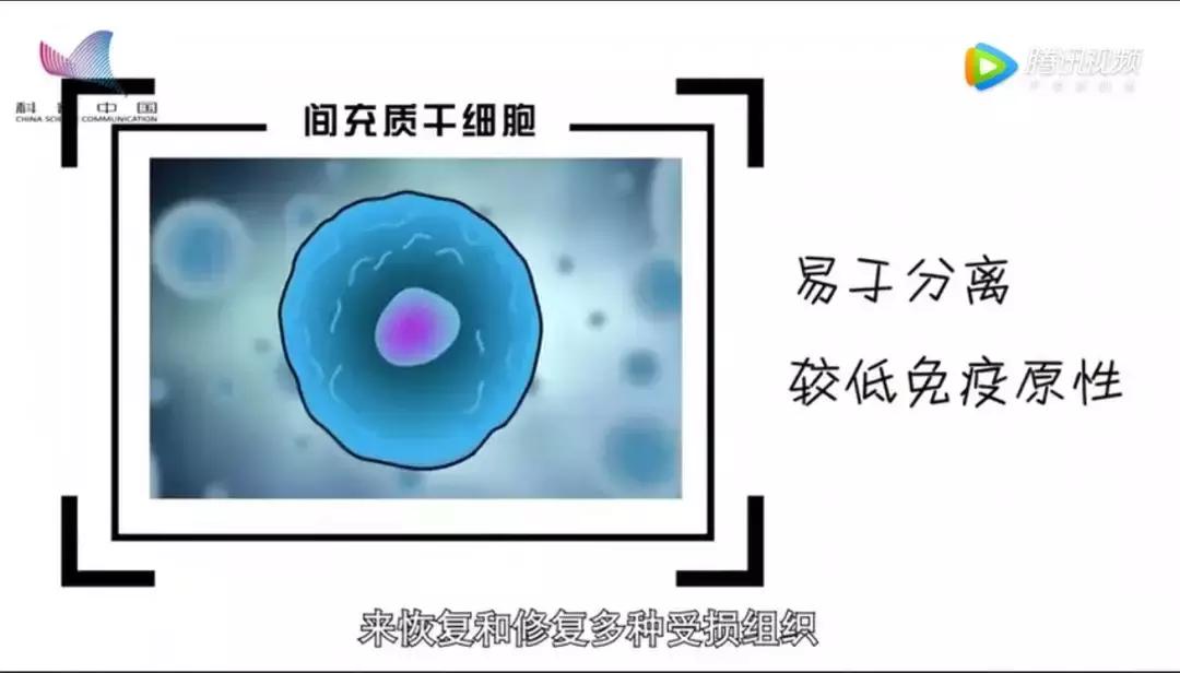 中国干细胞治疗糖尿病最新突破,中国医科大学干细胞治疗糖尿病