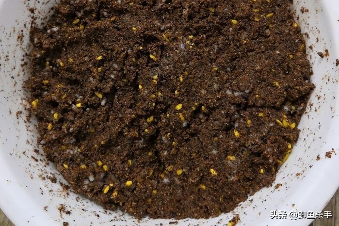 钓鱼人不知道的小技巧,钓鱼技巧野钓鱼不开口用啥饵