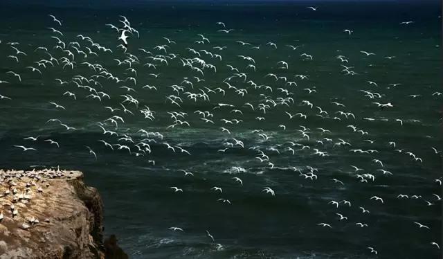 在公路旁随手一拍都是美景,中国有一条公路每一公里都是美景