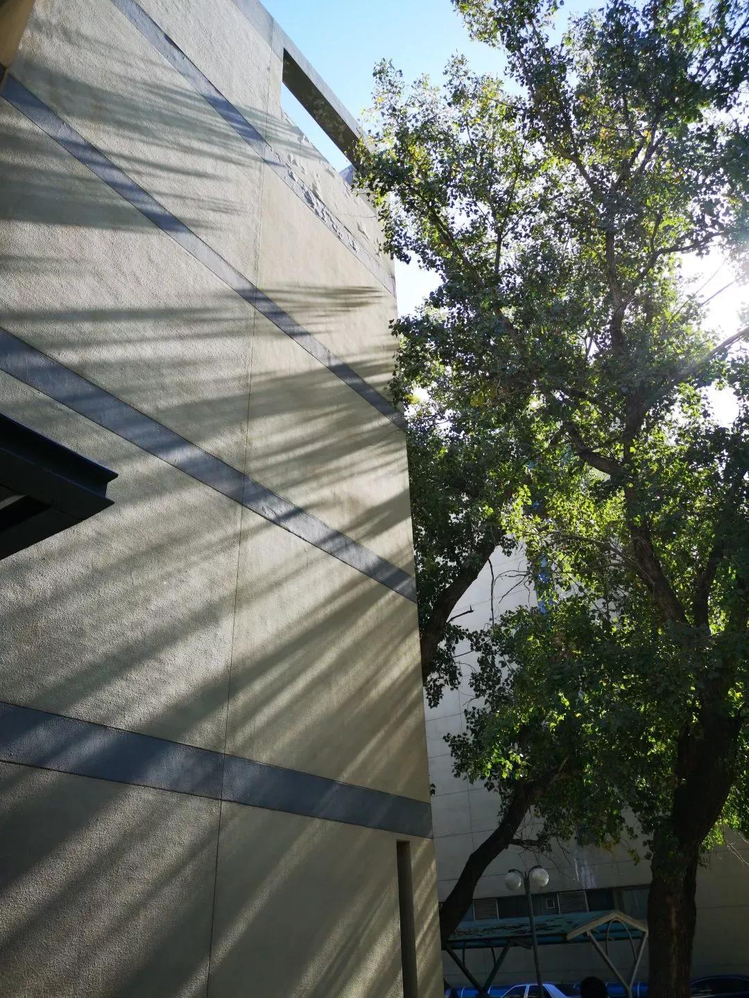 天津市高级中等学校,天津市锐华高级中学