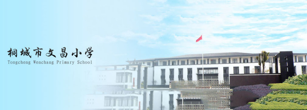 安徽省桐城市小学一览表,文昌小学桐城