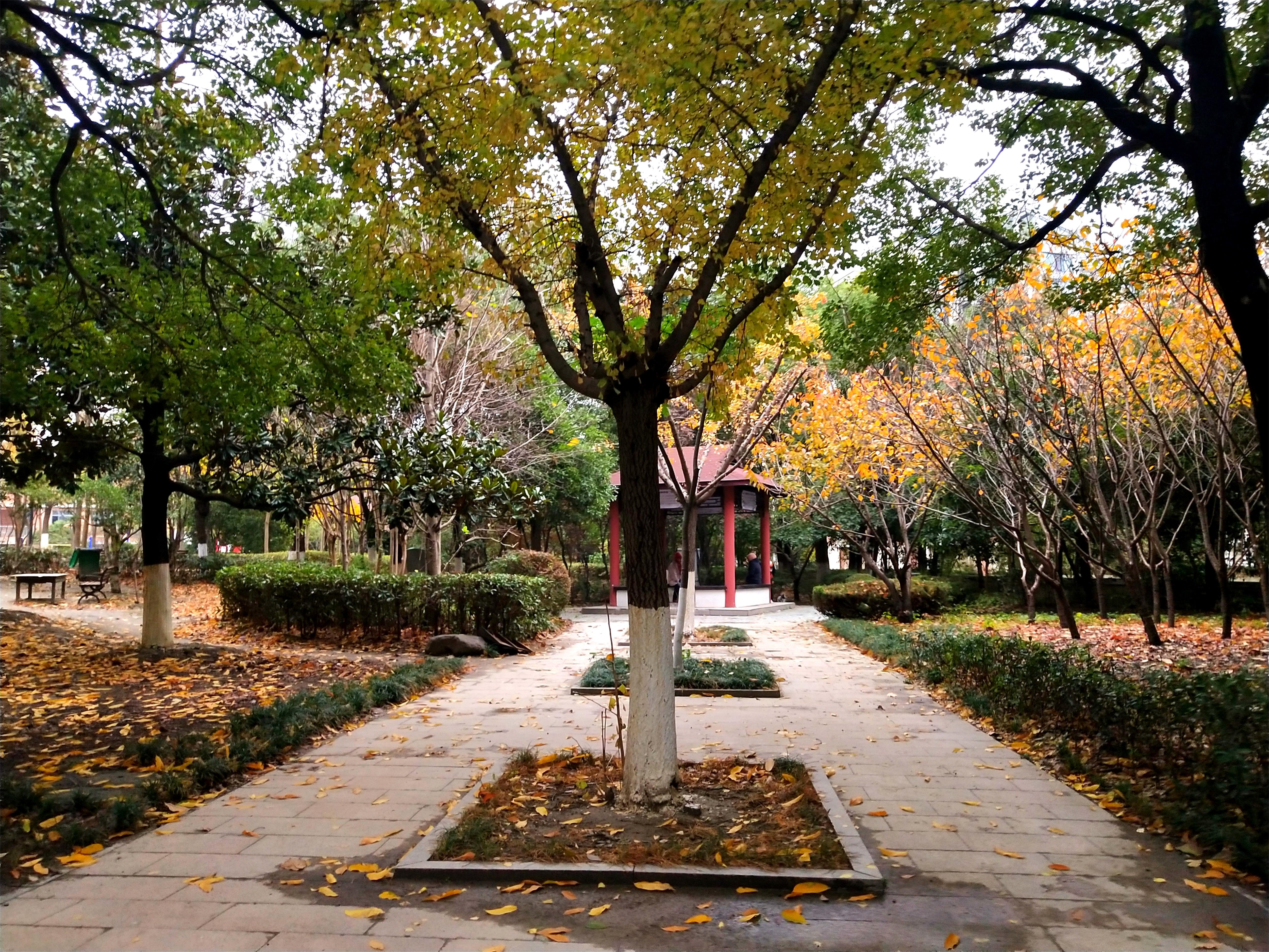 南阳3500一平方的经适房,老城区的经适房小区