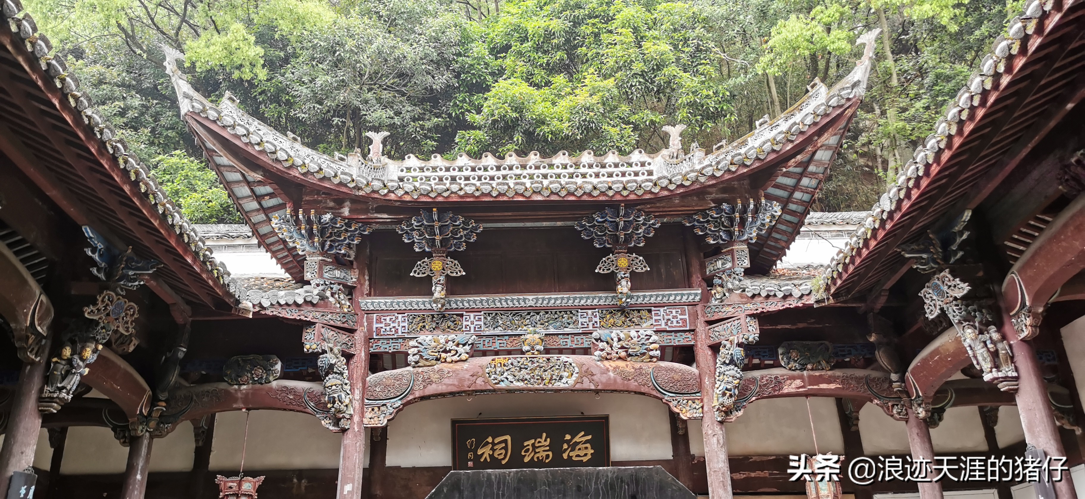 千岛湖疫情政策,千岛湖景区半价优惠