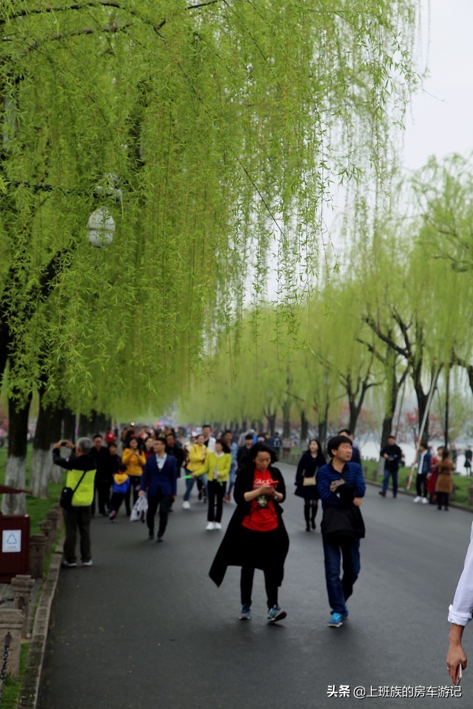 周末微旅行：秦望山麓访名校，白沙堤岸醉桃柳（第二季）
