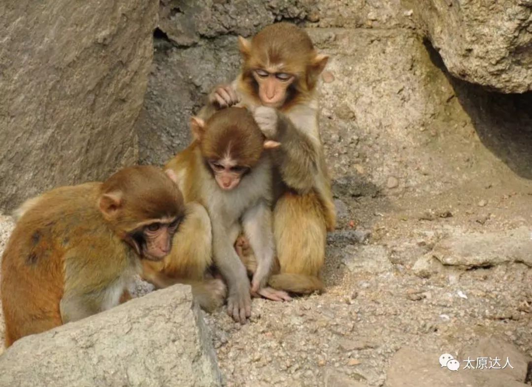 云泉谷峡谷漂流天空之境,云泉谷漂流一日游