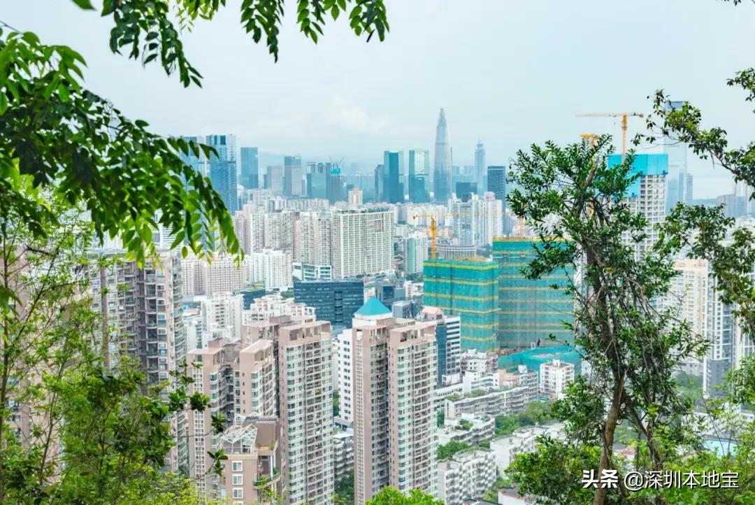 深圳经济特区民生建设,深圳经济发展方向南山区