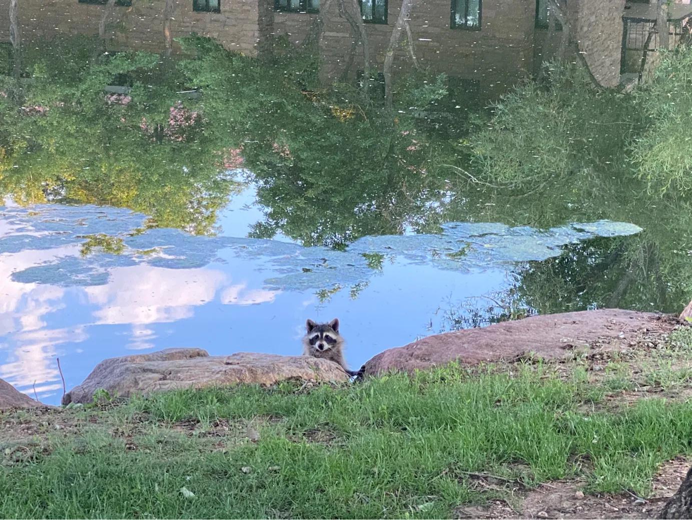 油性肌肤缺水用什么品牌护肤品,女性敏感油性肌肤适合用的护肤品