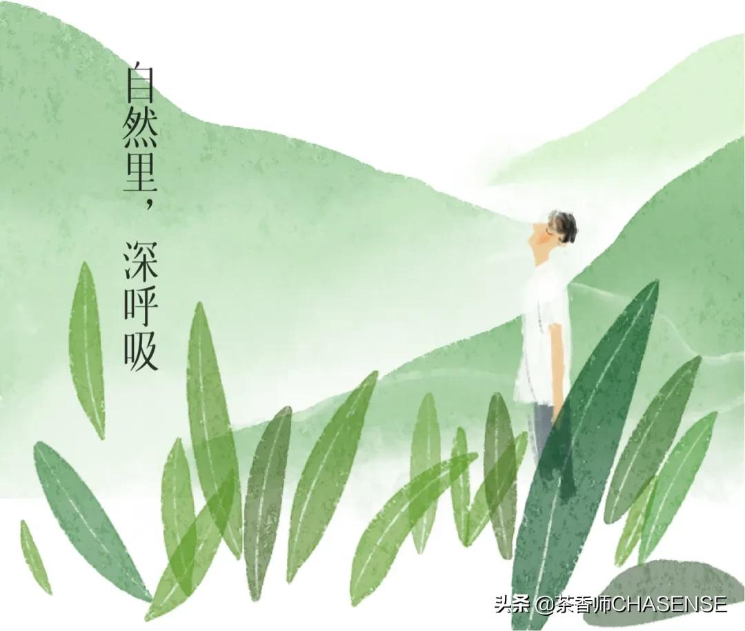 茶香师早春之茶香水 (茶香师香水小样礼盒)