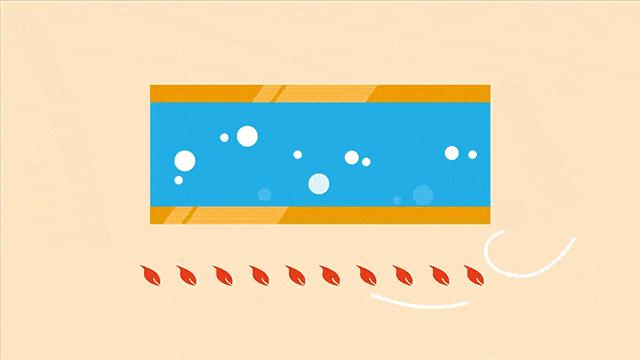 十年经验告诉你怎样清洗才更干净,洗洗更健康科普视频