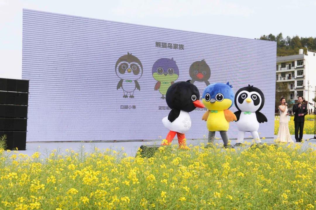 婺源油菜花节,2023婺源油菜花节