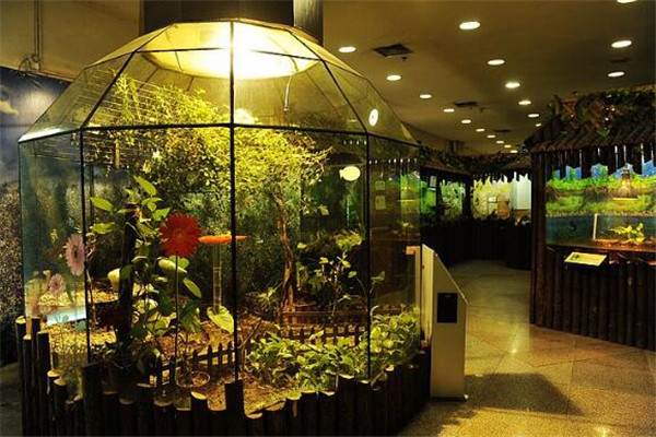 上海必去的十大景点排名,上海近郊冷门却值得一游的好去处