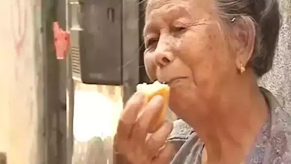 从中华文明探源中汲取复兴伟力,中华文化得以延续的活水源头