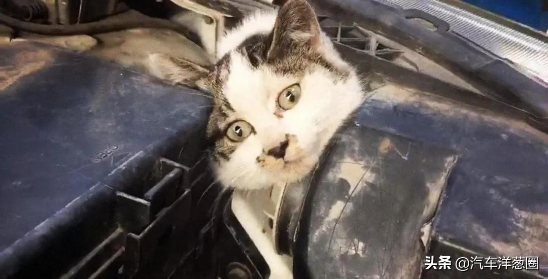 汽车发动机护板有啥好处,家用车到底要不要装发动机护板