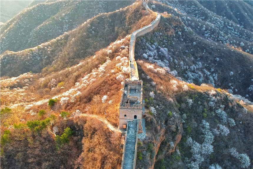 了不起的长城最新视频,了不起的长城是哪一期