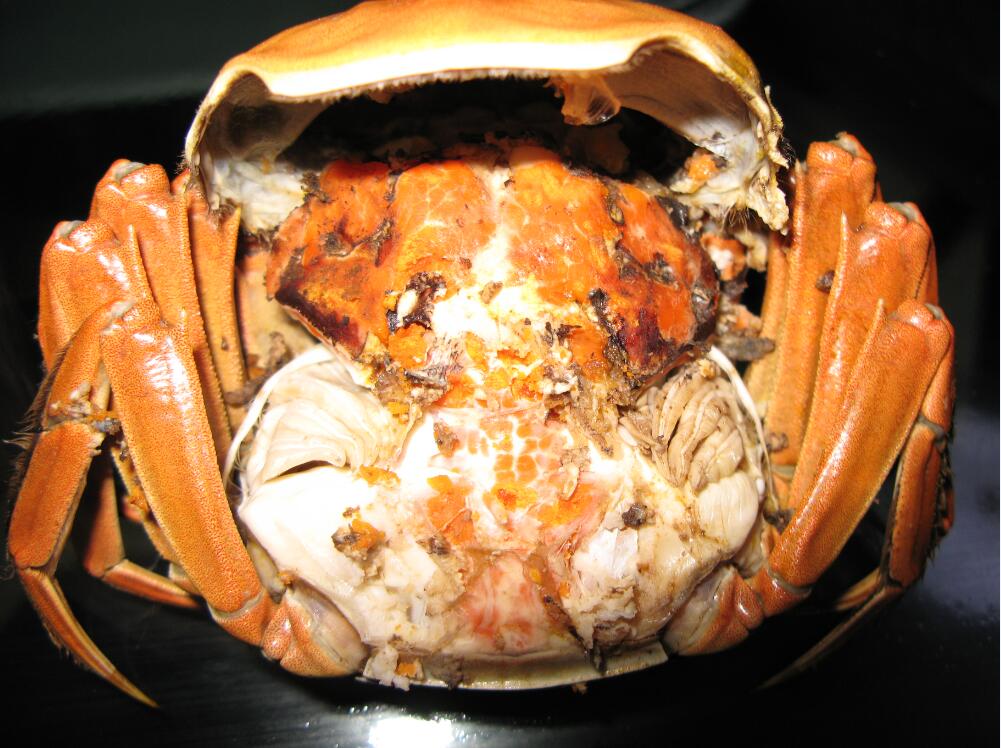 湖北洪湖蟹,洪湖市第一大镇