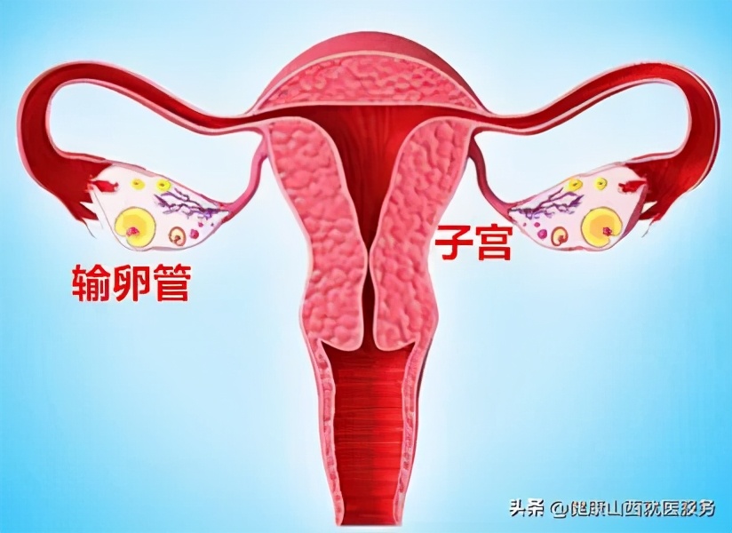 这5种病不是癌却比癌症还可怕,这三种癌不是癌无需惊慌