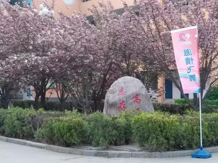 学生写作营的收获,学员写作营的成果