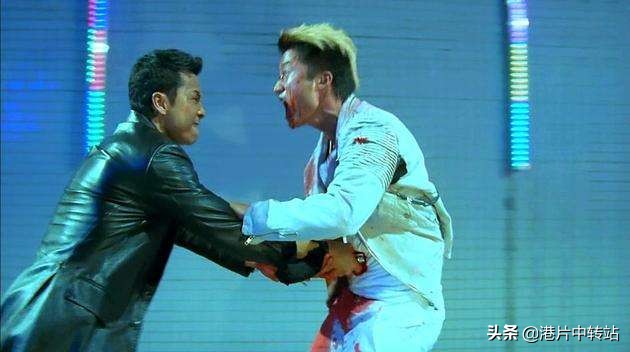 甄子丹巅峰动作片合集,甄子丹最经典电影全集免费