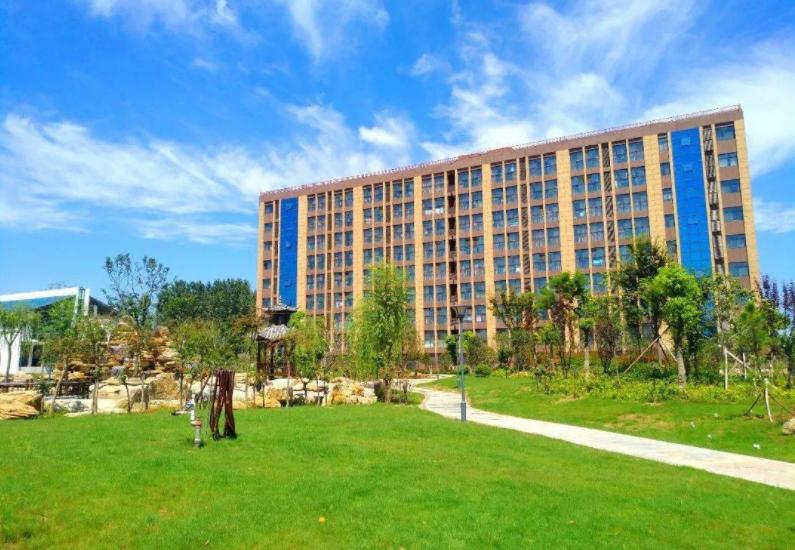 谈谈家乡生态环境,关于家乡生态的采访问题