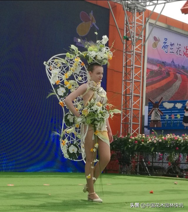 荷兰花海花艺节,荷兰花海国际花艺