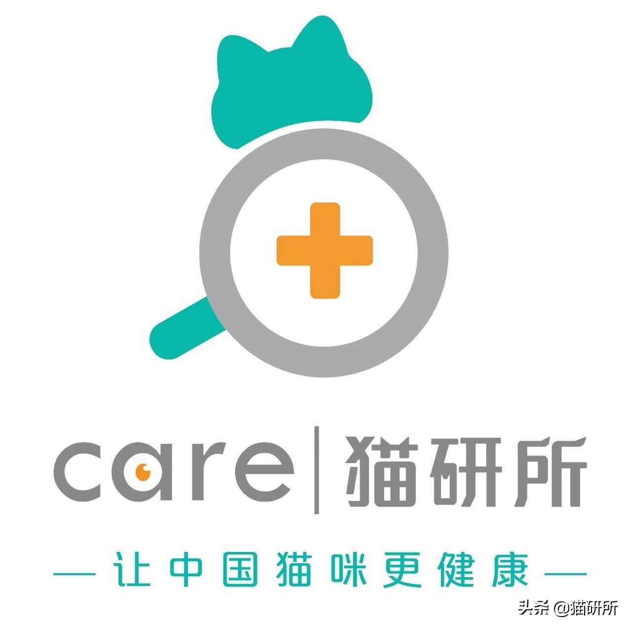 吸猫不得不知道的常识,沉迷吸猫的原因