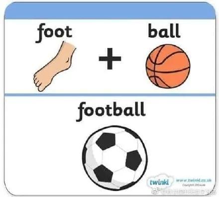 cat是什么词,cat是猫的意思吗