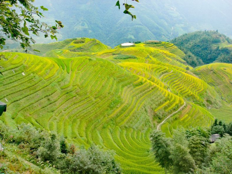 龙脊梯田七星伴月是什么意思,龙脊梯田七星伴月
